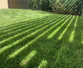 Vejos įrengimas: sėjimas, ruloninė veja - Vejos irengimas, laistymo sistemos, ap&scaron;vietimas - 3