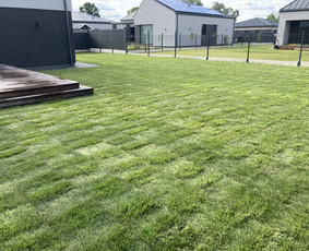 Vejos įrengimas: sėjimas, ruloninė veja - Vejos irengimas, laistymo sistemos, ap&scaron;vietimas - 2