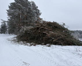Vejos įrengimas, laistymo sistemos, apšvietimas / Ričardas / Darbų pavyzdys ID 4283131