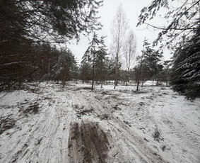 Vejos įrengimas, laistymo sistemos, apšvietimas / Ričardas / Darbų pavyzdys ID 4283133