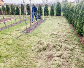 Vejos aeravimas - Vejos irengimas, laistymo sistemos, ap&scaron;vietimas - 2