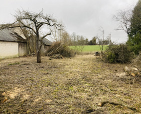 Apleistų sklypų tvarkymas - Vejos irengimas, laistymo sistemos, ap&scaron;vietimas - 2
