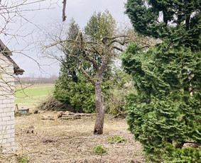 Vejos įrengimas, laistymo sistemos, apšvietimas / Ričardas / Darbų pavyzdys ID 4283151