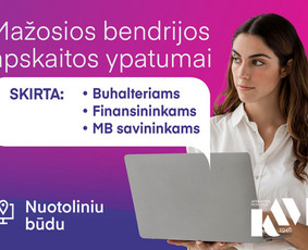 Įmonių steigimas (UAB, MB, V&scaron;Į) - Supraskite ir tvarkykite savo apskaitą užtikrintai - 1