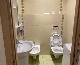 Plytelių demontavimas - Griovimo darbai - 4