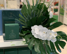 Vitrinų dekoravimas - Dekoratorė/floristė Žemaitijoje - 3