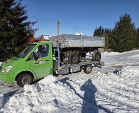 Tralo paslaugos kroviniu pervezimas / Deimantas / Darbų pavyzdys ID 4284693