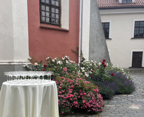 Šampano staliukas / Šampano burbuliukai / Darbų pavyzdys ID 4284815