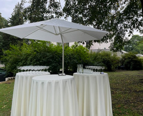 Šampano staliukas / Šampano burbuliukai / Darbų pavyzdys ID 4284829