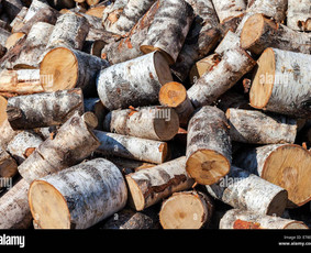 Malkos: gamyba, pristatymas - Malkos Ukmergės, &Scaron;irvintų r. - 1