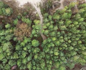 Virtualus turas - Nekilnojamasis turtas/ portretai/ verslas / &scaron;eimos - 2