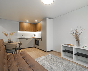 Vidaus apdailos darbai - Profesionalus glaistymas ir dažymas 5 m. patirtis - 2