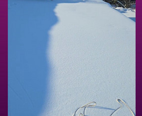 Sniego valymas - Sniego valymas nuo stogų - 2