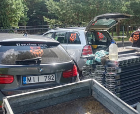 Suvirinimo darbai pagal užsakymą – Geležinis Lokys / Geležinis Lokys / Darbų pavyzdys ID 4287475