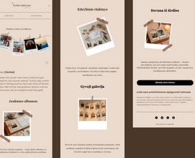 Paslaugos verslui - Email marketingas e-parduotuvėms ir verslui - 2