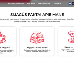 Internetas, IT - Profesionalios Interneto Svetainės ir Verslo Sprendimai - 4