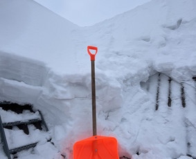 Buitinės paslaugos - Sniego valymas ir kasymas - 2