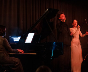 Dainavimo, vokalo pamokos - Dainavimo pamokos Rėknerėk dainavimo studijoje - 3