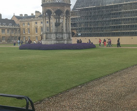 Mokymai, kursai, kalbos - Individualios anglų pamokos namie ar internetu - 3