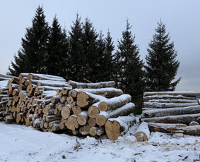 Malkos: gamyba, pristatymas - Kokybi&scaron;kos malkos - 3