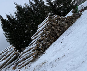 Malkos: gamyba, pristatymas - Kokybi&scaron;kos malkos - 4