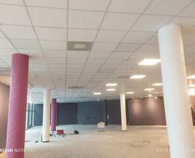 Apdailos darbai / Vaidas / Darbų pavyzdys ID 4288571