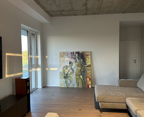 Apdailos darbai / Vaidas / Darbų pavyzdys ID 4288585