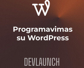 Programavimas su WordPress - 2d/3d konfigūratoriai ir unikalūs verslo sprendimai - 1