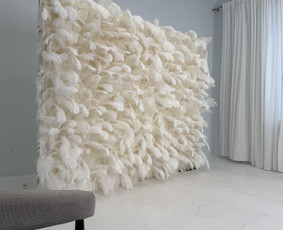 &Scaron;ventinės įrangos nuoma - Foto sienos nuoma - 4