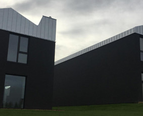 Vidaus apdailos darbai - Namu fasadu ir stogu plovimas, dažymas. - 3