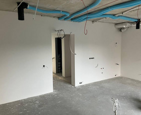 Vidaus apdailos darbai - Vidaus apdaila - 2