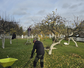 Apleistų sklypų tvarkymas - Laistymo sistemos, apželdinimas, projektavimas - 1