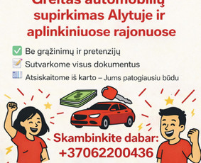 Transportas - Automobilių supirkimas Alytuje ir aplink - 4