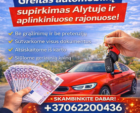 Transportas - Automobilių supirkimas Alytuje ir aplink - 3