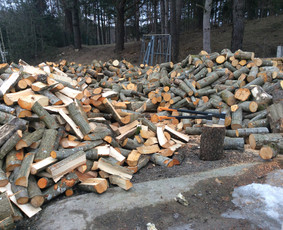 Arboristo Paslaugos.avarinių medžių pjovimas-aplinkos darbai / Rolandas Surdokas / Darbų pavyzdys ID 913367