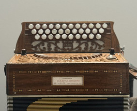 Buitinės paslaugos - Akordeonu remontas - 4