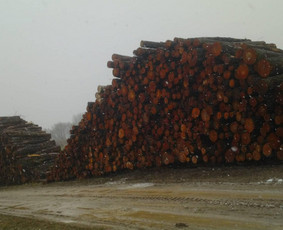 Tradiciniai amatai - Parduodu malkas - 1