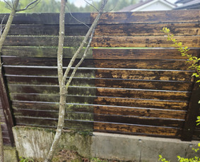 Staliaus darbai. Fasadai. Vidaus įrengimas / Laurynas Uselis / Darbų pavyzdys ID 4290681