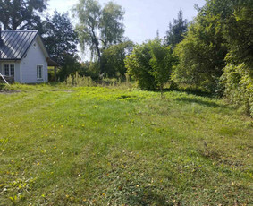 Vejos įrengimas, laistymo sistemos, apšvietimas / Ričardas / Darbų pavyzdys ID 4290833