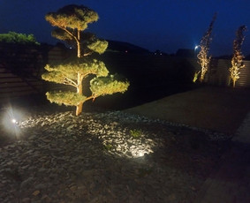 Vejos įrengimas, laistymo sistemos, apšvietimas / Ričardas / Darbų pavyzdys ID 4290841