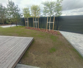 Vejos įrengimas, laistymo sistemos, apšvietimas / Ričardas / Darbų pavyzdys ID 4290843