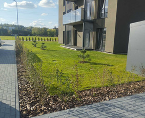 Vejos įrengimas: sėjimas, ruloninė veja - Vejos įrengimas, laistymo sistemos, ap&scaron;vietimas - 3