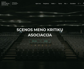 Interneto svetainių kūrimas - Wordpress svetainės statybos ir paslaugų įmonėms - 3