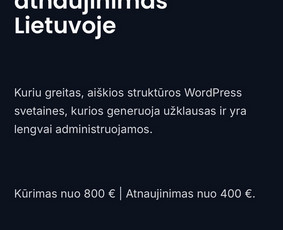Interneto svetainių kūrimas - Wordpress svetainės statybos ir paslaugų įmonėms - 2