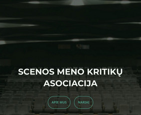 Interneto svetainių kūrimas - Wordpress svetainės statybos ir paslaugų įmonėms - 4