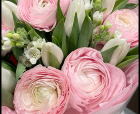 Puok&scaron;čių gamyba - Valgomos pok&scaron;tes, saldžios pk.kaledines pk.geliu.pk. - 3