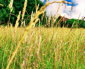 Renginiai, &scaron;ventės - Nuomoju, sodybą, salę, pirtį, kambarius - 1