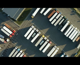 Muitinės tarpininkai - Muitinės tarpininkas - 1