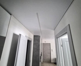 Vidaus apdailos darbai - Lubustilius - 2