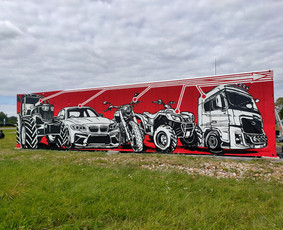 Mstudija - sienų tapyba, 3D piešiniai, graffiti. / Marius Skrupskis / Darbų pavyzdys ID 4293915